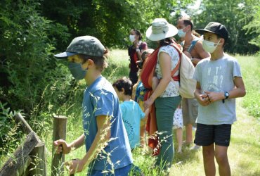 RANDONNÉE MILLE PATTES DANS LA VILLE ET LE PARC - 12 JUIN 2021